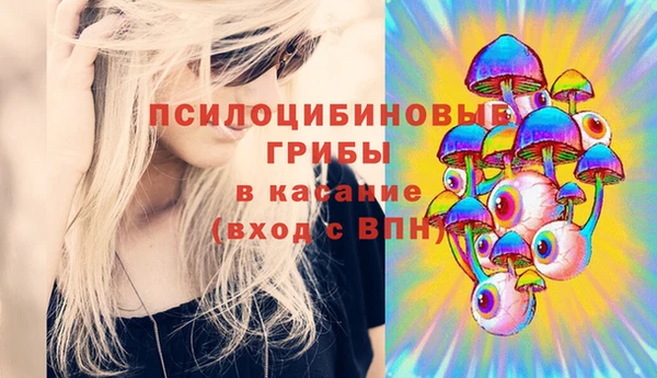 тгк Переславль-Залесский