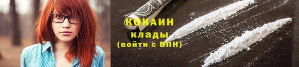 ПСИЛОЦИБИНОВЫЕ ГРИБЫ Верея