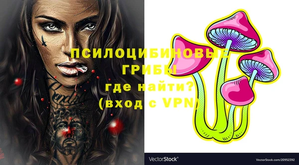 ПСИЛОЦИБИНОВЫЕ ГРИБЫ Верея