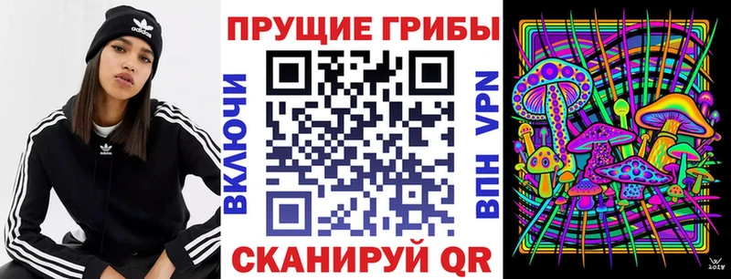 Галлюциногенные грибы GOLDEN TEACHER  Оса 